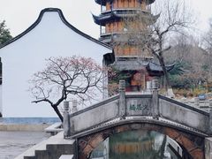 -红梅公园