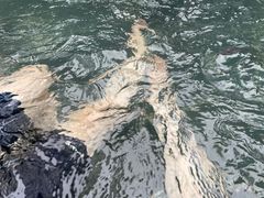 -和顺柏联温泉