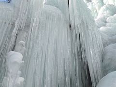 -青峰峡国家森林公园