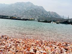 -前海沿·青岛菜(大拇指广场石老人店)