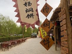 -沙洲胡杨焖饼