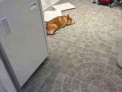 -百荣世贸商城