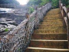 -广州白江湖森林公园