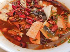 渝信毛血旺-渝信川菜(华盛店)