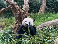 -广州长隆野生动物世界