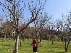 -福建鲤鱼洲酒店