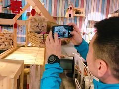 -小时光咖啡馆(开森度假森林店)