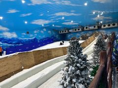 -世界之窗阿尔卑斯冰雪世界