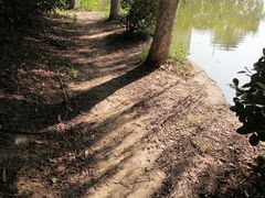 -咸阳湖景区-古渡公园