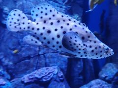 -成都浩海立方海洋公园