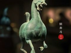 -甘肃省博物馆