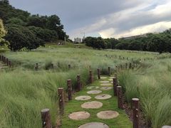 -红花山公园