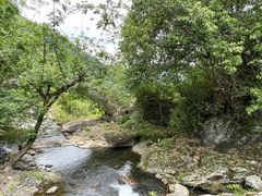 -石台牯牛降景区