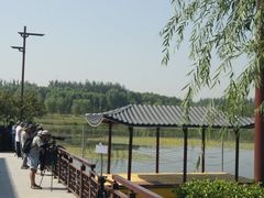 -北京麋鹿生态实验中心