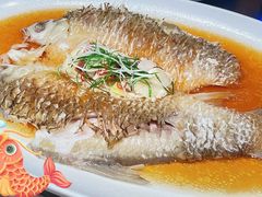-醉辉皇原味海鲜江南菜(成都大魔方店)