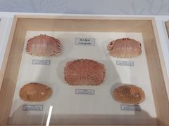 -中国湿地博物馆