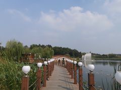-大塘金香草谷