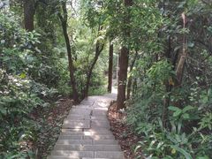 -水濂山森林公园