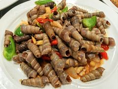 -梅子大排档