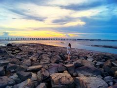 -宝安西湾红树林湿地公园