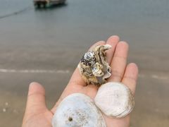 -汕尾风车岛