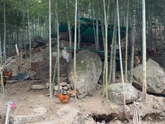 -众神白水涧景区