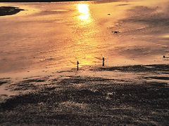 -北岐滩涂