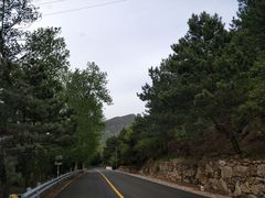 -Local泰莲庭(虹鳟鱼店)