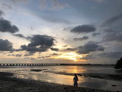 -宝安西湾红树林湿地公园