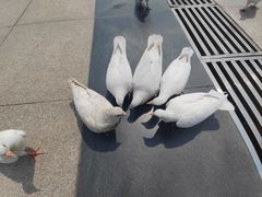 -泰达航母主题公园
