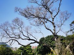 -四海公园(南山区)