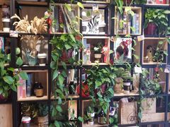 -ZING COFFEE 镜咖啡