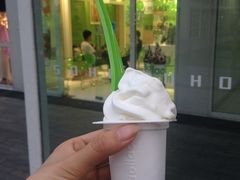 -Salud撒露欧洲冻酸奶(北苑上品店)