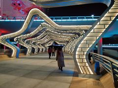 -演武大桥观景平台