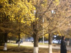 -渤海大学(松山校区)