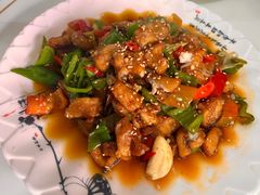 -煲来饱去冷水鱼