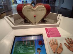 -北京科学中心儿童乐园