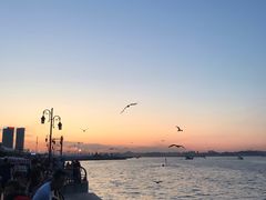 -东港音乐喷泉广场