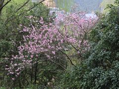 -溪口-滕头旅游景区