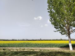 -汉长安城未央宫国家考古遗址公园