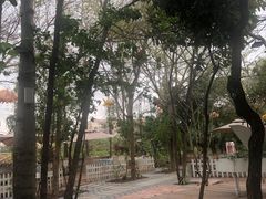 -陶缘一号·四季缘·老字号顺德菜·户外婚礼家宴(西滘店)