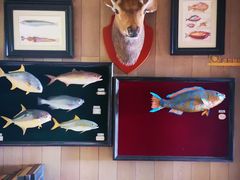 -平湖九龙山旅游度假区