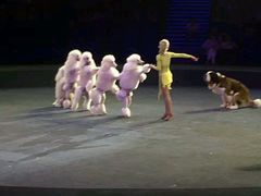 -珠海横琴长隆《卡卡虎奇遇记》