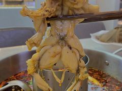 -宋柏树北京果木烤鸭(安东卫店)