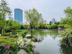 -新虹桥中心花园