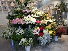 -植物学家的女儿(北马道巷店)