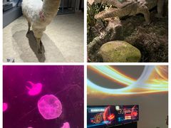 -正佳自然科学博物馆