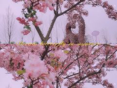 -紫颐香薰山谷景区