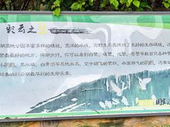 -重庆彩云湖湿地公园