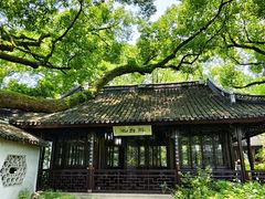 -上海醉白池公园